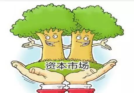 深圳常见的公司类型有哪些?