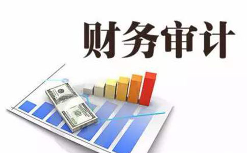 出示审计报告